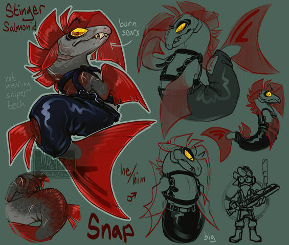 Snap&#39;s canon form